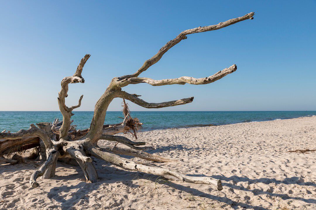 Ferien in Sylt