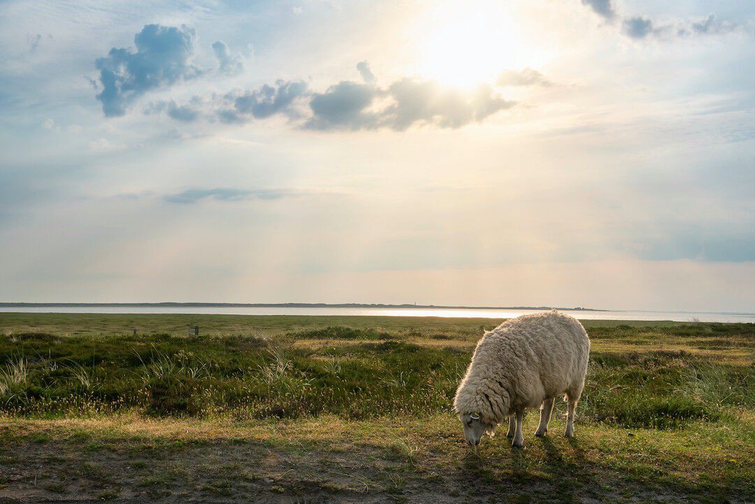 Ferien in Sylt